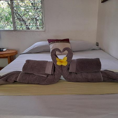 Hotel El Colibri Rojo - Cabinas - Le Colibri Rouge Cahuita Room photo